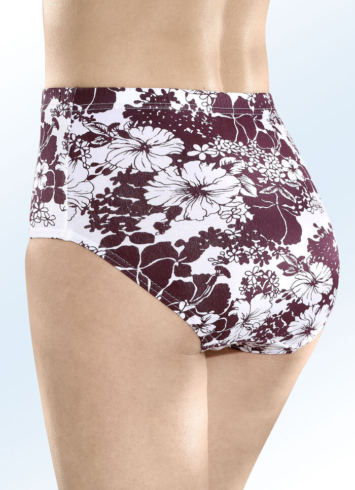 F&uuml;nferpack Slips mit Gummizug im Bund 