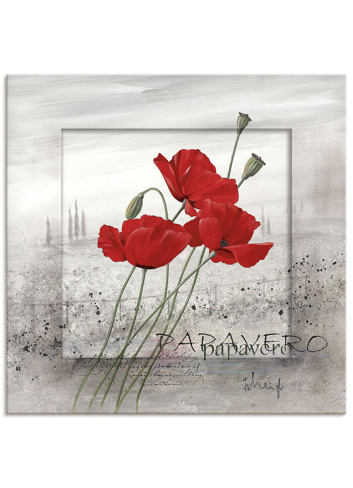 Bild Mohnblumen an einem nebligen Morgen 