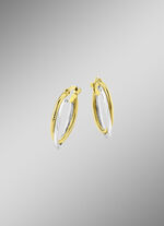 Glänzende Creolen in Bicolor, 2-reihig 