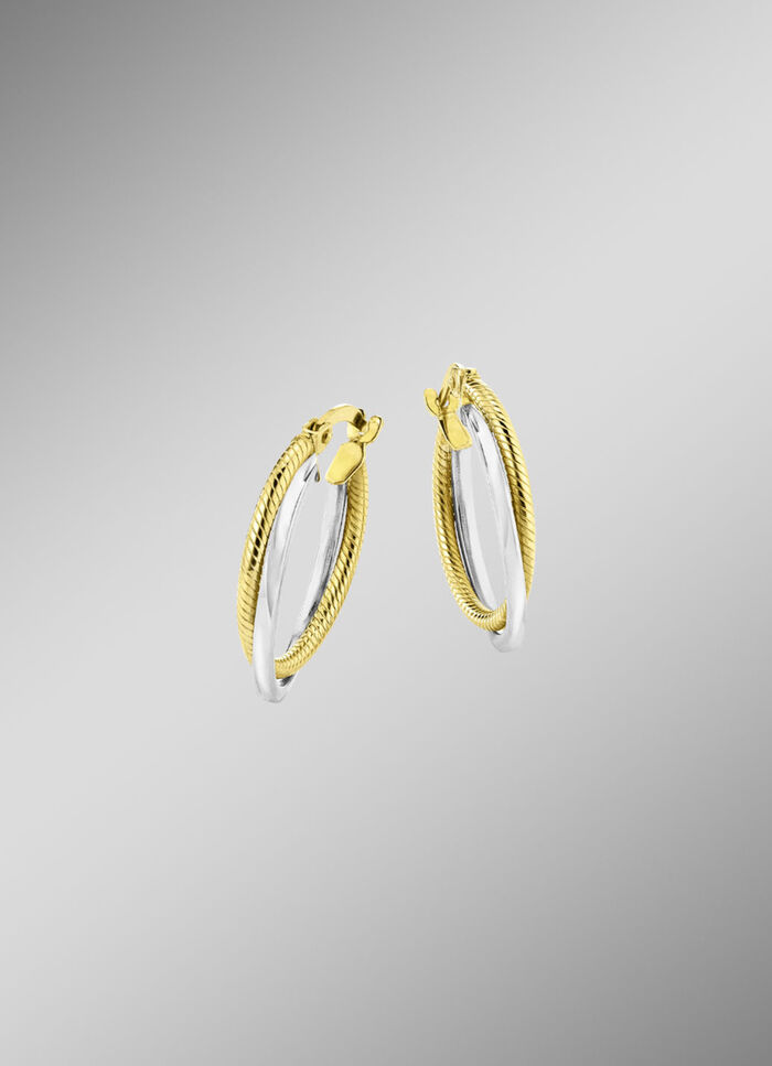 Glänzende Creolen in Bicolor, 2-reihig 