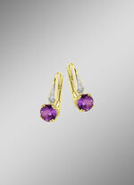 Glamour&ouml;se Ohrringe  