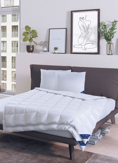 Bettwarenprogramm Königlich Schlafen von Spessarttraum 