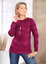 Pullover mit aufwendiger Rundpasse 