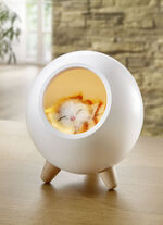 Tischleuchte mit integriertem Akku 