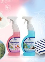 Glasreiniger-Set 