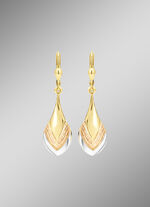 Bezaubernde Ohrringe in Tricolor 