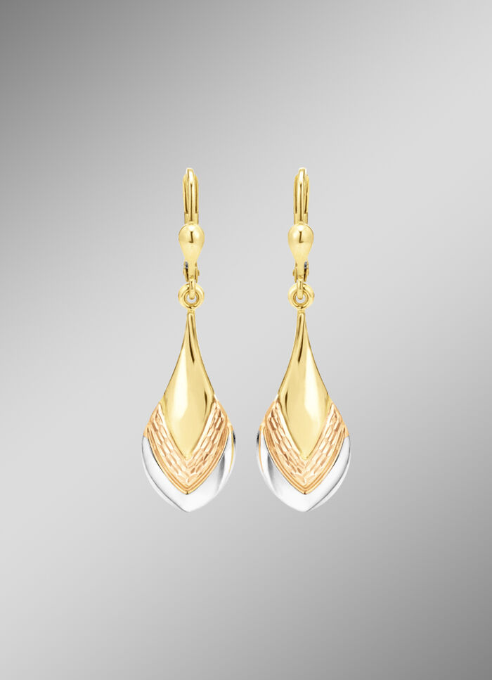 Bezaubernde Ohrringe in Tricolor 