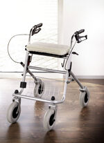 Kissen aus Schurwolle 