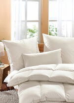 Exklusiver Schlafkomfort: Moschus Royal Kissen von Häussling 