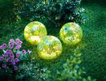 LED-Glaskugeln &bdquo;Schmetterling", 3er-Set 