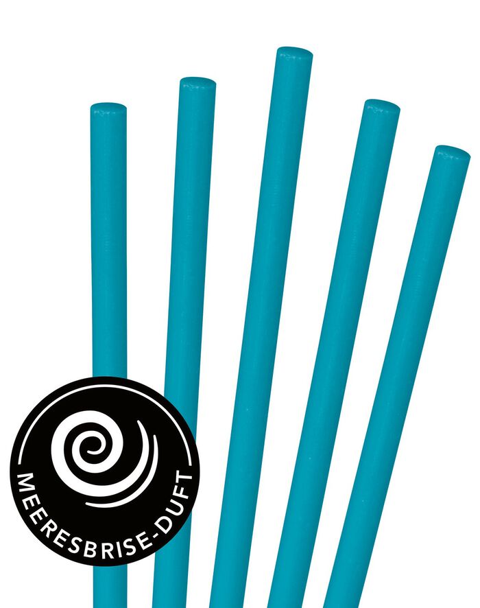 Abflussreiniger-Sticks &ndash; halten Ihre Abfl&uuml;sse frei von Ablagerungen und &uuml;blen Ger&uuml;chen BLAU