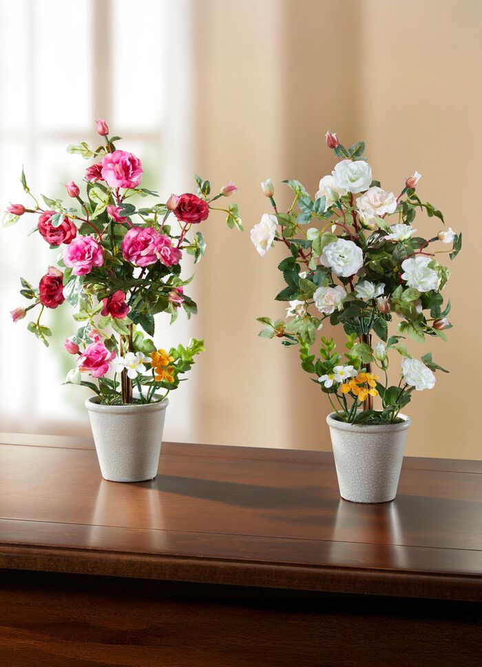 Rosengesteck im Keramiktopf 