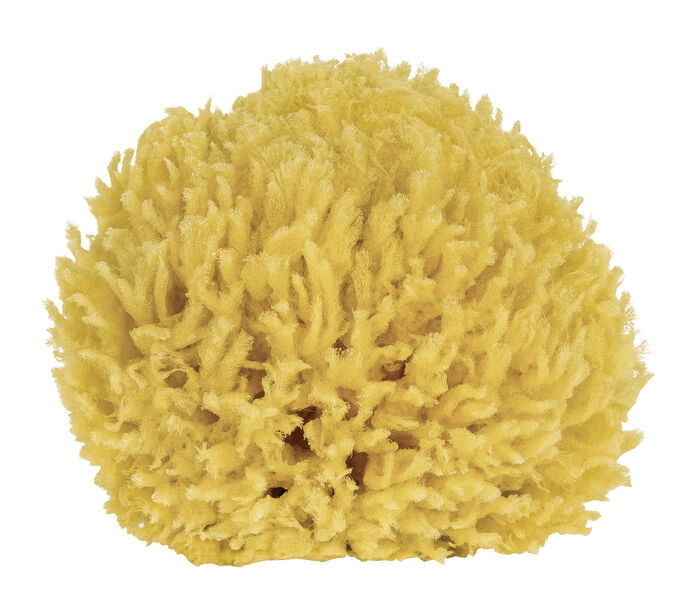 Badeschwamm aus natürlichem Material NATUR