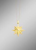 Toller Stern-Anh&auml;nger mit Brillanten und Diamanten 
