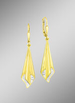 Attraktive Ohrringe in Bicolor 