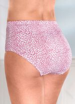 Viererpack Slips mit Raubtierdessin 