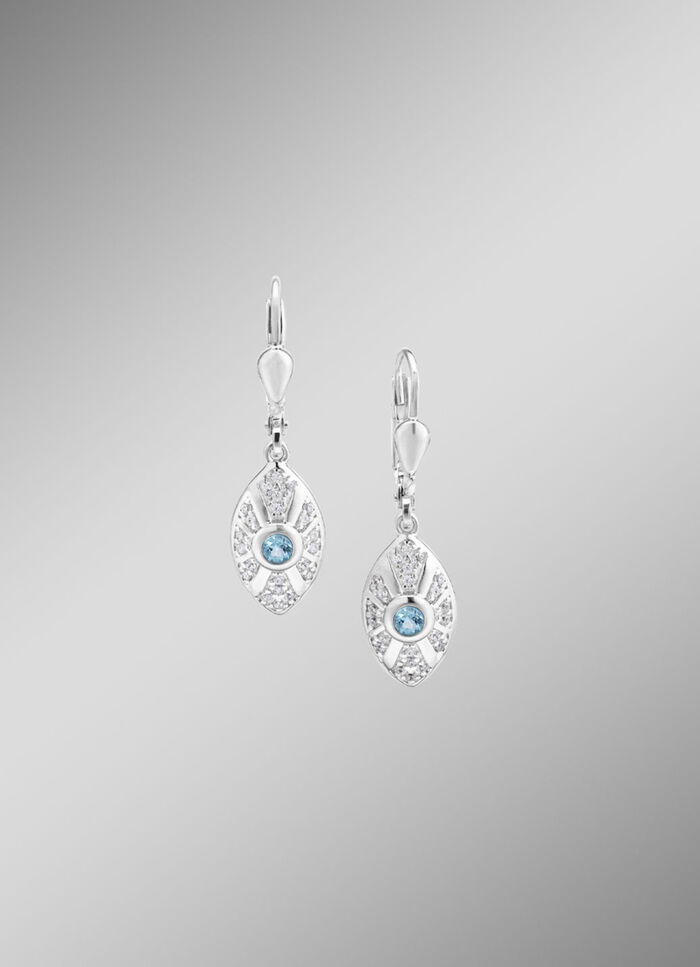 Strahlende Akzente – Exquisite Ohrringe aus Silber 
