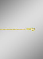 Ankerkette aus Gold 