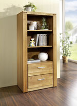 Regal mit Massivholzfronten WILDEICHE