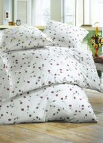 "Janine" Bettw&auml;sche-Garnitur ROSA