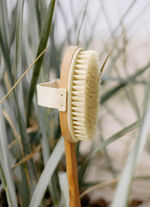 Badebürste aus Lotusholz 