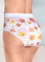 F&uuml;nferpack Formslips mit verst&auml;rkter Bauchpartie 