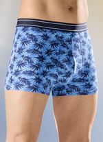 Dreierpack Pants mit Elastikbund 