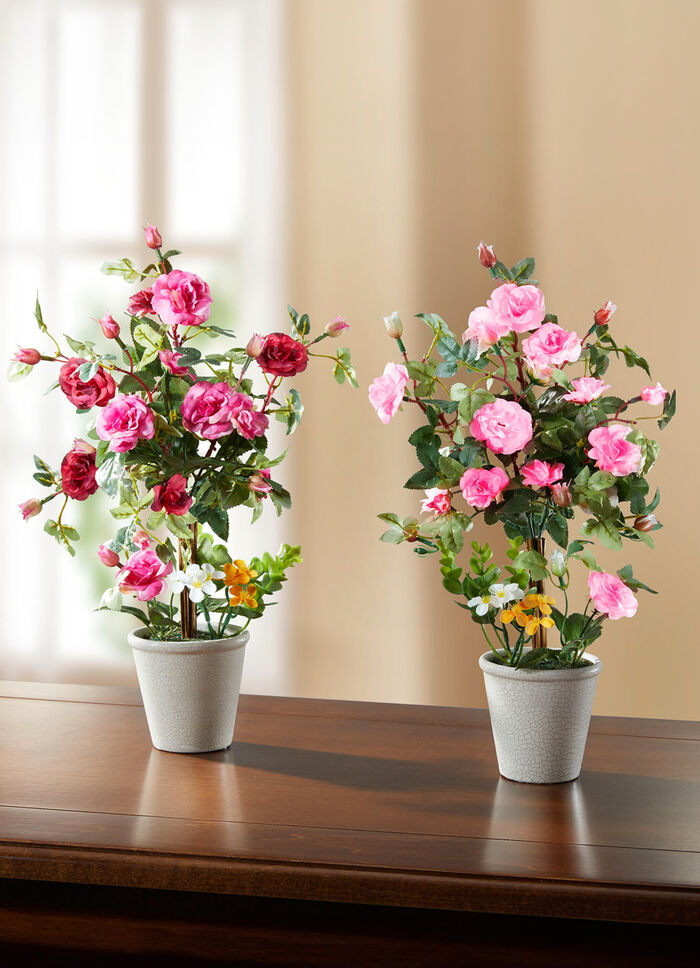 Rosengesteck im Keramiktopf PINK