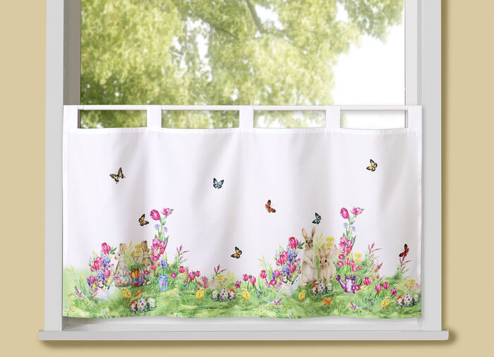 Kurzstore H&auml;schen auf Schmetterlingswiese 