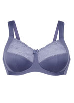 Anita BH mit Tüllstickereispitze am Dekolleté 