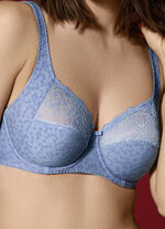 Format B&uuml;gel BH 