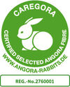 BADERde_DE1Logo_Caregora