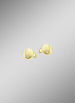 Moderne Ohrstecker mit Zirkonia 