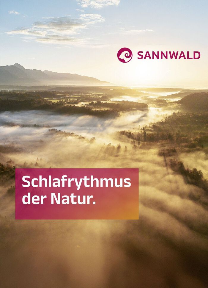 G&auml;nsedaunen-Kissenprogramm von Sannwald 