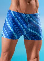 Schwab Badehose in h&ouml;herer Kastenform, allover dessiniert 