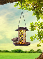 Solar-Leuchte/Futterstelle 