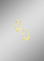 Eleganz und Glanz: Creolen in Bicolor 