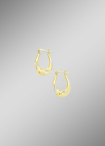 Eleganz und Glanz: Creolen in Bicolor 