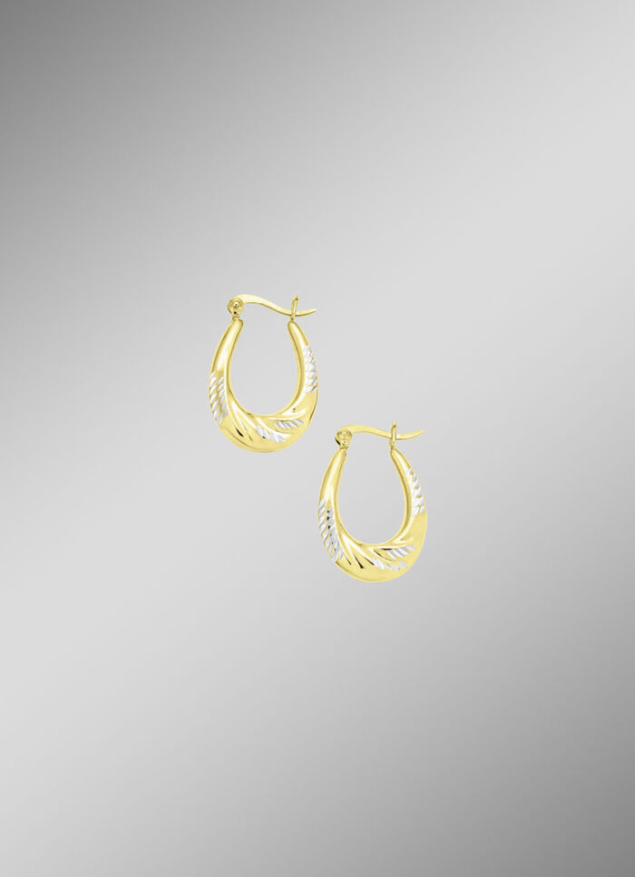 Eleganz und Glanz: Creolen in Bicolor 