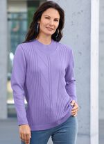 Pullover mit Schurwolle 