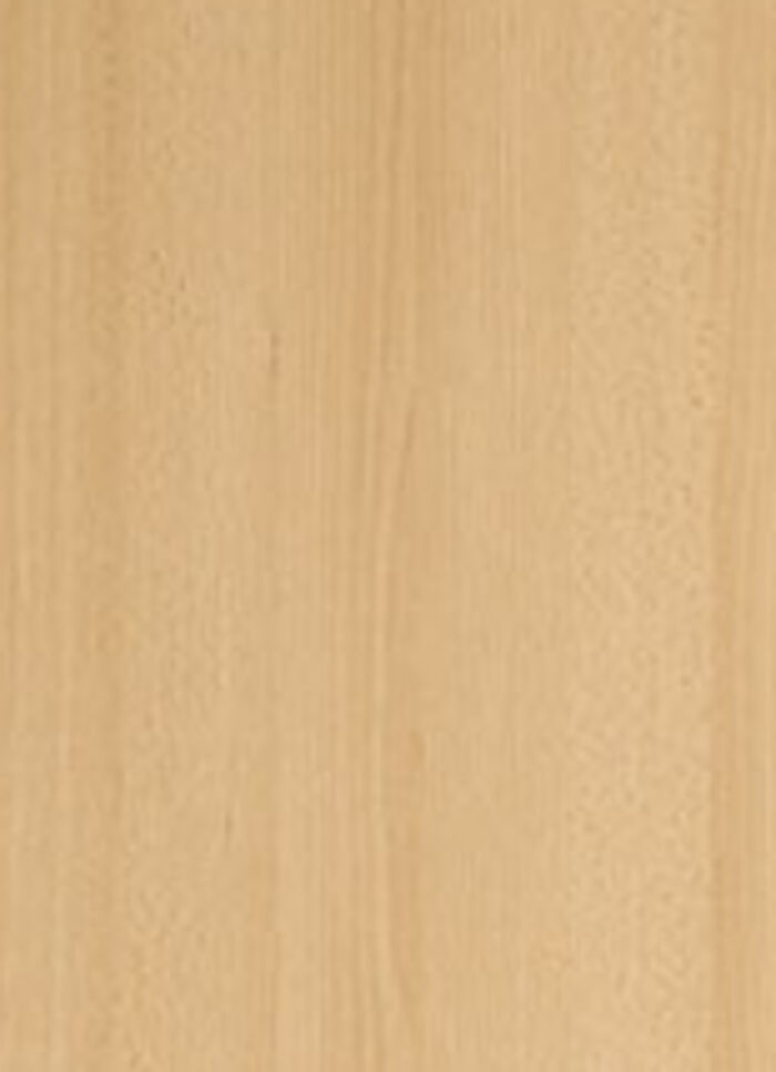 Kühlschrankumbau BUCHE