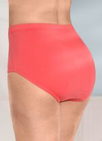 F&uuml;nferpack Slips mit Gummizug im Bund 