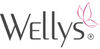 BADERde_DE1Logo_Wellys