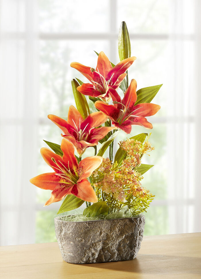Lilien-Arrangement in Schale aus Zement 