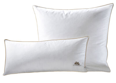 3-Kammer-Kissen von OBB 