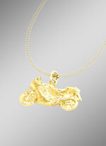 Anh&auml;nger Motorrad, beidseitig tragbar 