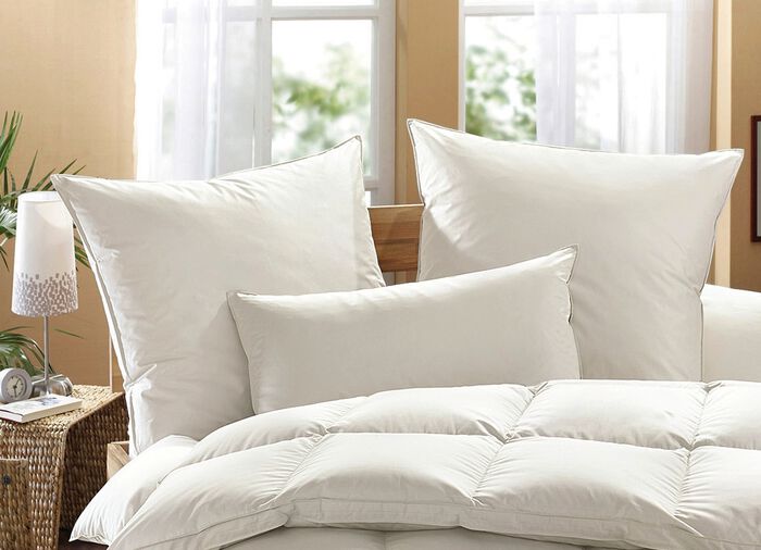 Exklusiver Schlafkomfort: Moschus Royal Kissen von Häussling 