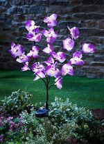 T&auml;uschend echte Solar-Orchidee 
