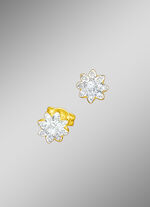 Ohrstecker mit Brillanten und Diamanten 