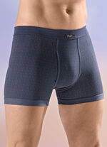 Viererpack Unterhosen mit Alloverdessin 